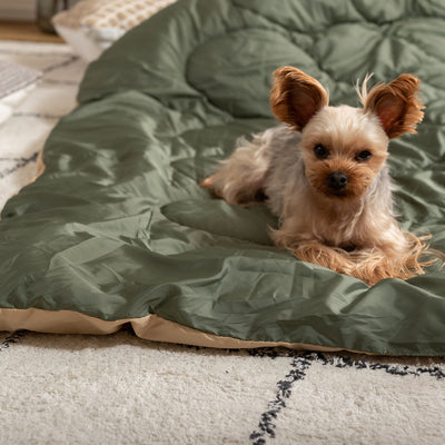 【ペットの毛も、気にならない】
サラサラの生地はペットの毛が付きにくくお手入れが楽なので、かわいい家族と気兼ねなく一緒にくつろげます。