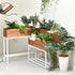 異なるサイズのプランターと組み合わせることで自由にコーディネートが可能です。