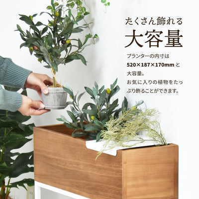 プランターボックス(W550×D220×H600)