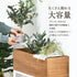プランターボックス(W550×D220×H600)