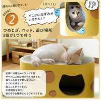 【一台三役!猫ちゃんの喜ぶ要素が満載】隠れて遊べるハウス、心地よいベッド、そして最高の爪とぎ。
