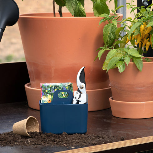 フランクS ギフトボックスセット(W150×D110×H135)