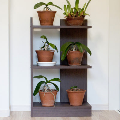 ソロ オープンシェルフ ロータイプ(W500×D259×H810)