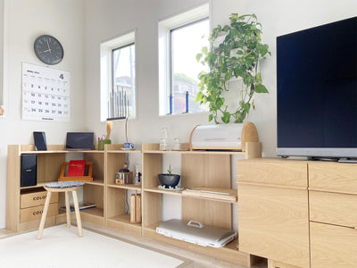 ソロ オープンシェルフ ロータイプ(W500×D259×H810)