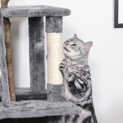 爪とぎができる支柱。