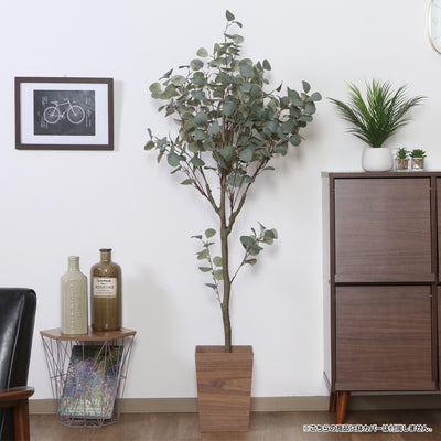 インテリアとしてお部屋を彩るだけでなく、空間に温かみやリラックス効果を与えます。