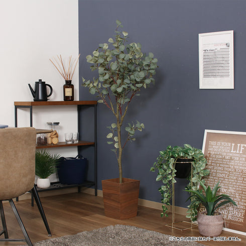 鉢付きなのでそのまま使えますが、お好きな鉢カバーを付けてカスタマイズするのもオススメです(※鉢カバーは付属していません)。