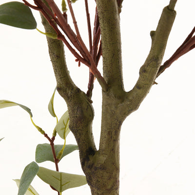 細部までリアルな仕上がりなのでしっかりと植物を感じられます。