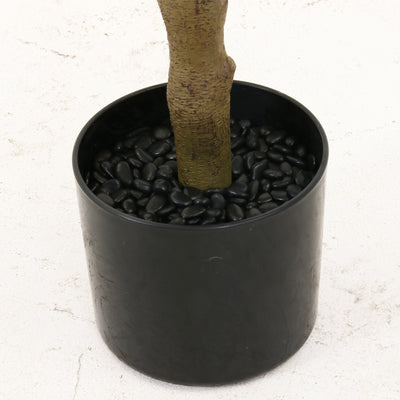 鉢に敷き詰められた黒い小石が高級感を演出します。