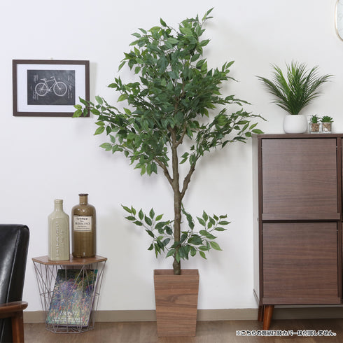 インテリアとしてお部屋を彩るだけでなく、空間に温かみやリラックス効果を与えます。