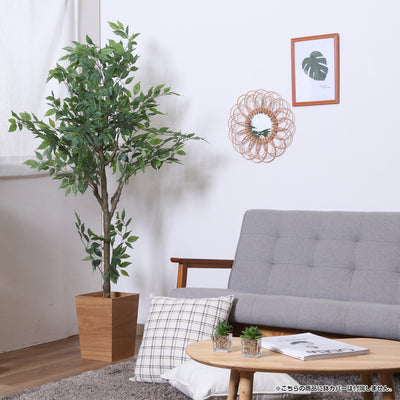 高さ160cmなので1つ飾るだけでもしっかりと存在感を放ち、インテリアのアクセントになってくれます。