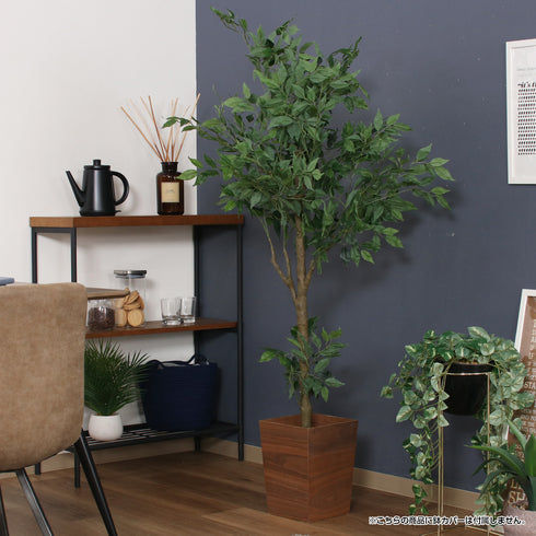 鉢付きなのでそのまま使えますが、お好きな鉢カバーを付けてカスタマイズするのもオススメです(※鉢カバーは付属していません)。