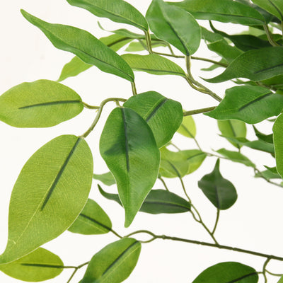 ジョイント式フェイクグリーン フィカス(W700×D750×H1600)