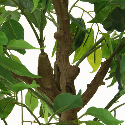 細部までリアルな仕上がりなのでしっかりと植物を感じられます。