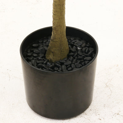 鉢に敷き詰められた黒い小石が高級感を演出します。