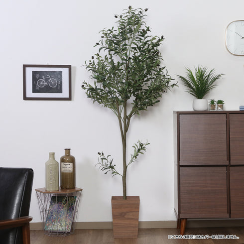 インテリアとしてお部屋を彩るだけでなく、空間に温かみやリラックス効果を与えます。