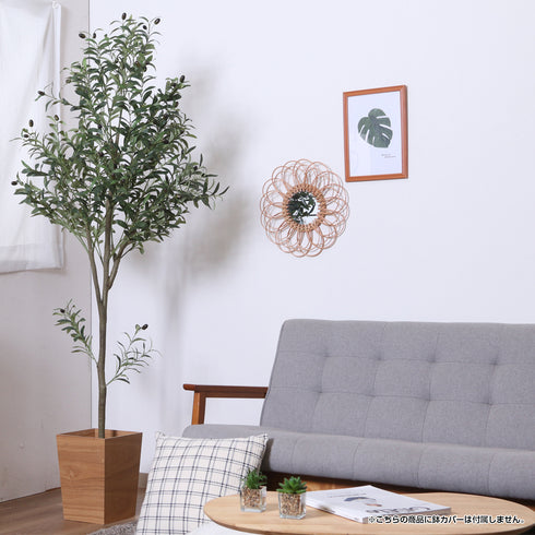 鉢付きなのでそのまま使えますが、お好きな鉢カバーを付けてカスタマイズするのもオススメです(※鉢カバーは付属していません)。
