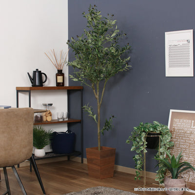 高さ180cmなので仕切りや目隠しにもなり、1つ飾るだけでもしっかりと存在感を放ち、インテリアのアクセントになってくれます。