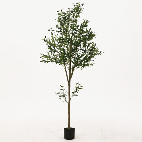 ジョイント式フェイクグリーン オリーブ(W600×D600×H1800)