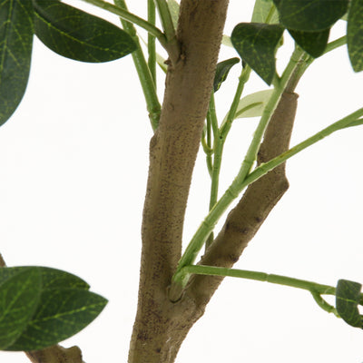 細部までリアルな仕上がりなのでしっかりと植物を感じられます。