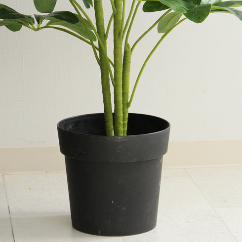 人工観葉植物 ヤドリフカノキ(W500×D500×H1050)