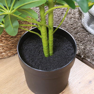 鉢に敷き詰められた土までも本物のような仕上がりです。