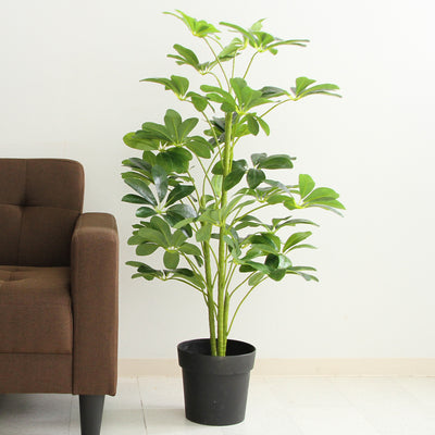 本物の植物のようなリアルな質感を再現した、ヤドリフカノキの人工観葉植物です。