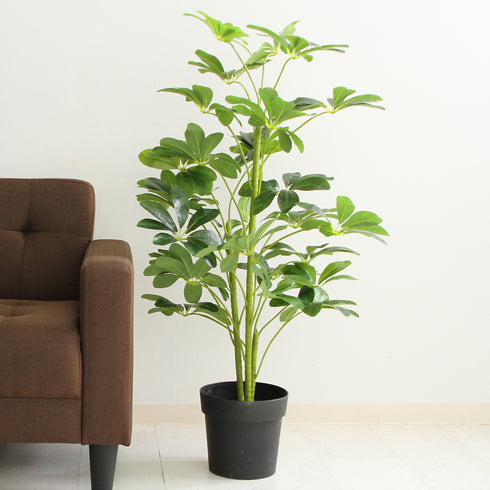 本物の植物のようなリアルな質感を再現した、ヤドリフカノキの人工観葉植物です。