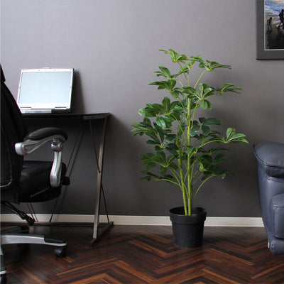 インテリアとしてお部屋を彩るだけでなく、空間に温かみやリラックス効果を与えます。