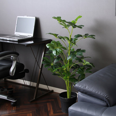 室温管理や陽当たりも気にする必要がないので、お好きな場所に置けるのも嬉しいポイントです。