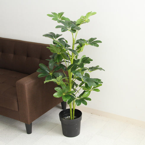 人工観葉植物 ヤドリフカノキ(W500×D500×H1050)