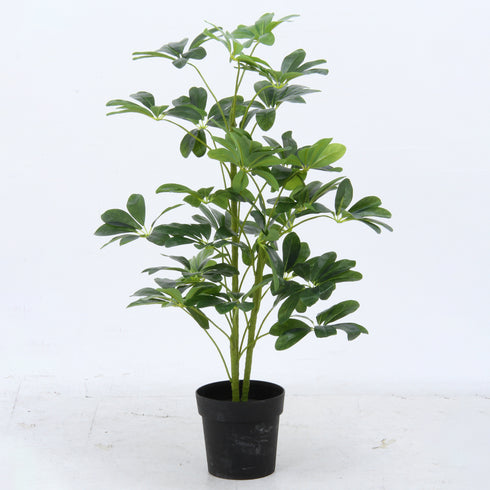 人工観葉植物 ヤドリフカノキ(W500×D500×H1050)