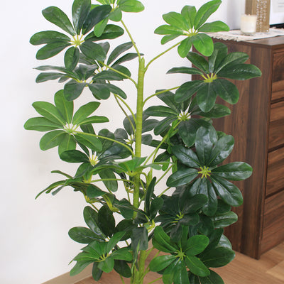 人工観葉植物 ヤドリフカノキ(W500×D500×H1050)