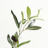 人工観葉植物 オリーブ(W400×D400×H820)