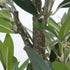 人工観葉植物 オリーブ(W400×D400×H820)