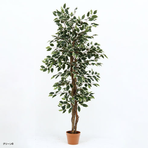 人工観葉植物 フィカス