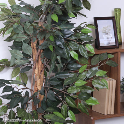 人工観葉植物 フィカス