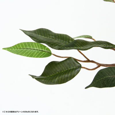 人工観葉植物 フィカス