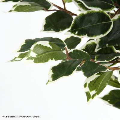 人工観葉植物 フィカス