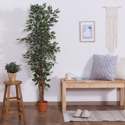 人工観葉植物 フィカス