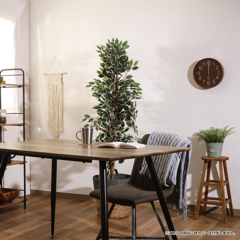 人工観葉植物 フィカス