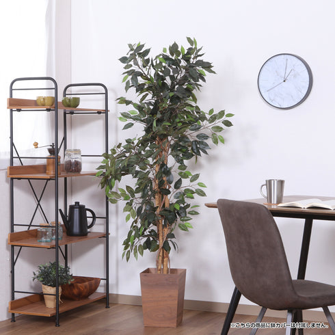 鉢付きなのでそのまま使えますが、お好きな鉢カバーを付けてカスタマイズするのもオススメです(※鉢カバーは付属していません)。