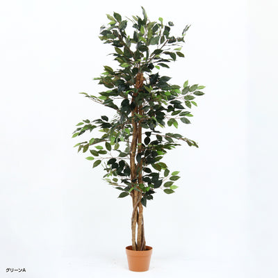 人工観葉植物 フィカス