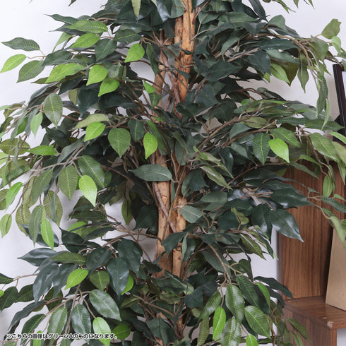 人工観葉植物 フィカス