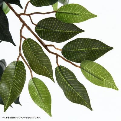 人工観葉植物 フィカス