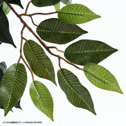 人工観葉植物 フィカス