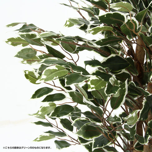 人工観葉植物 フィカス