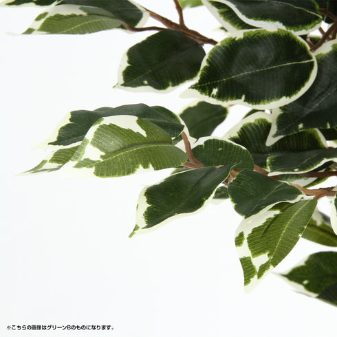 人工観葉植物 フィカス