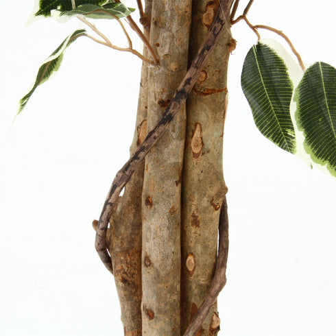 人工観葉植物 フィカス