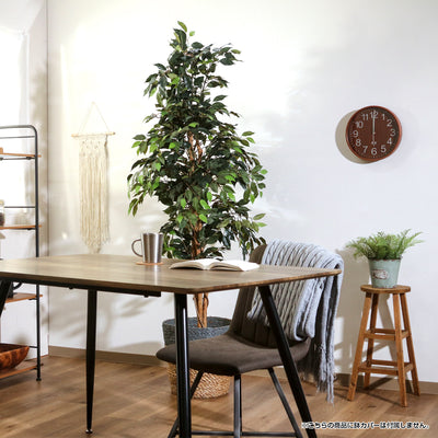 人工観葉植物 フィカス